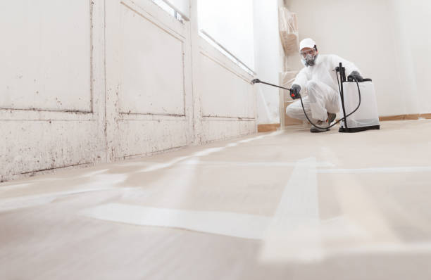 24/7 Emergency Commercial Mold Remediation experts in Norwood, NC